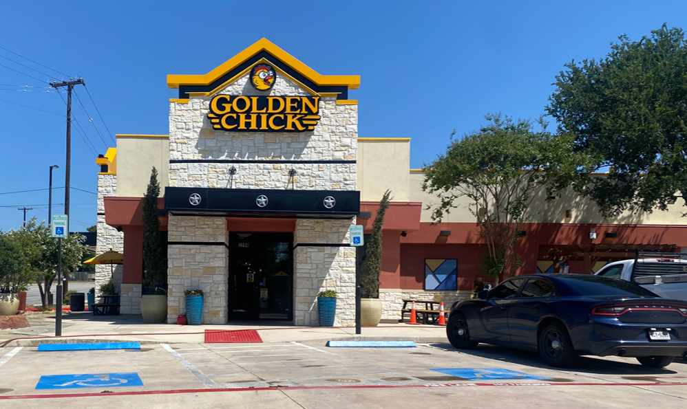 Golden Chick 78213