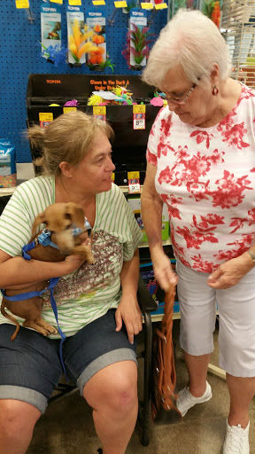 Pet Supply Store «PetSmart», reviews and photos, 7290 W Bell Rd, Glendale, AZ 85308, USA