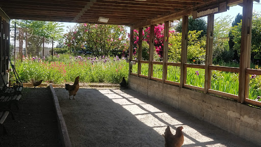 Winery «English Estate Winery», reviews and photos, 17806 SE 1st St, Vancouver, WA 98684, USA