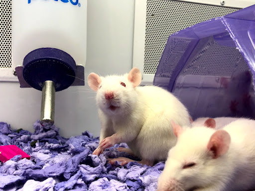 Pet Supply Store «Petco Animal Supplies», reviews and photos, 600 NE Vivion Rd, Kansas City, MO 64118, USA