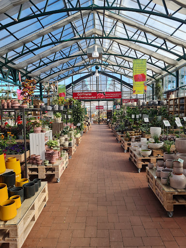 Gärtnerei Weißer’s Floraparadies unter Niedereschach, 
