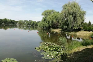 Lac Parcul Tineretului image