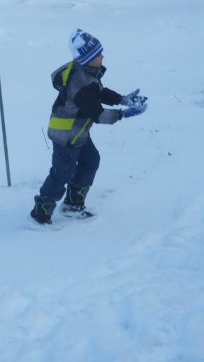 Nature Preserve «Steer Swamp Conservation Area», reviews and photos, 188 Washington St, Marblehead, MA 01945, USA