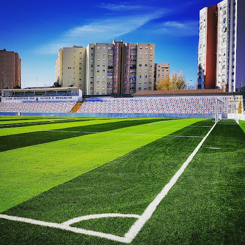 Clube Desportivo dos Olivais e Moscavide - Campo de futebol