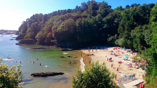 Playa de Almieiras