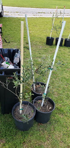 Vineyard «Chautauqua Vineyard & Winery», reviews and photos, 364 Hugh Adams Rd, Defuniak Springs, FL 32435, USA