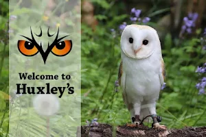 Huxley's Birds of Prey Centre and Gardens image