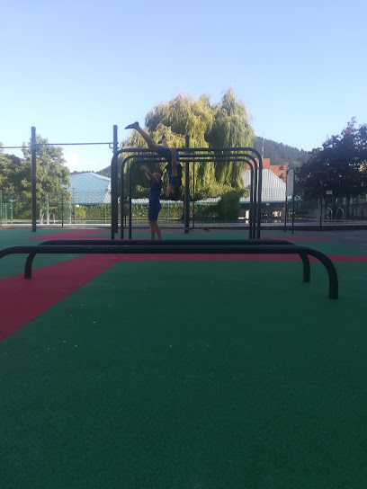 Parque de Calistenia y Street workout - Kalea Severo Ochoa, 1C, 48480 Arrigorriaga, Biscay, Spain