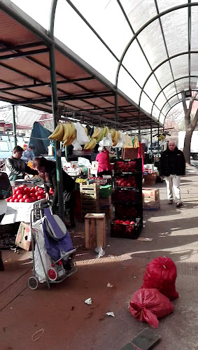 Feria Emilia Téllez - Mercado