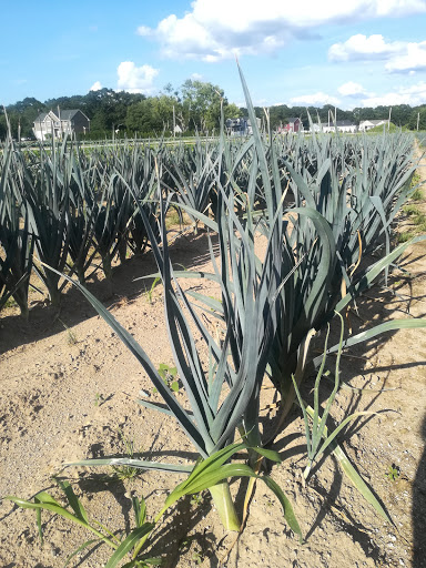 Farm «Four Town Farm», reviews and photos, 90 George St, Seekonk, MA 02771, USA