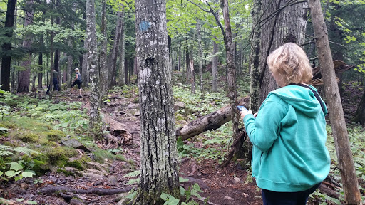 Golf Club «Marquette Golf Club», reviews and photos, 1075 Grove St, Marquette, MI 49855, USA