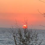 Photo n°2 de l'avis de silvana.h fait le 11/06/2018 à 10:54 sur le  Villa Parisi Grand Hotel à Castiglioncello