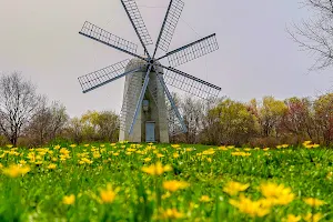 Boyd's Windmill image