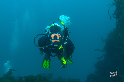 SCUBA tour agency Irvine