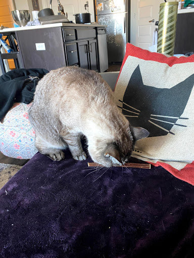 Pet Supply Store «Pet Wants», reviews and photos, 9486 S Union Square, Sandy, UT 84070, USA