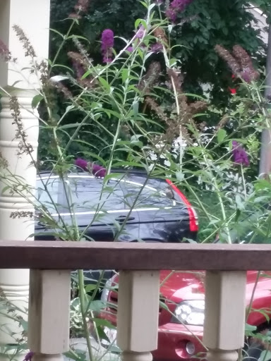 Cosmetics Store «Lush Cosmetics», reviews and photos, 99 Rockingham Park Blvd, Salem, NH 03079, USA