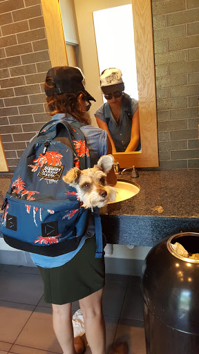 Starbucks image