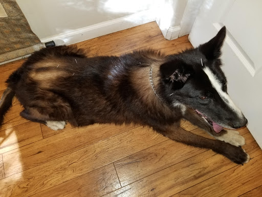 6474 Bonde Ln, Reno, NV 89511, USA