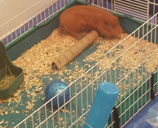 9623 Reisterstown Rd # A, Owings Mills, MD 21117, USA