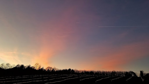 Winery «Glass House Winery», reviews and photos, 5898 Free Union Rd, Free Union, VA 22940, USA