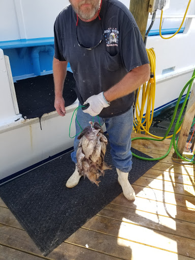 Fishing Charter «Miss Virginia Deep Sea Fishing», reviews and photos, 7847 Bayview St, Port Richey, FL 34668, USA