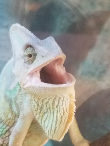 Pet Supply Store «Petco Animal Supplies», reviews and photos, 17200 Southcenter Pkwy #100, Tukwila, WA 98188, USA