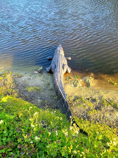 Golf Club «Manatee County Golf Course», reviews and photos, 6415 53rd Ave W, Bradenton, FL 34210, USA