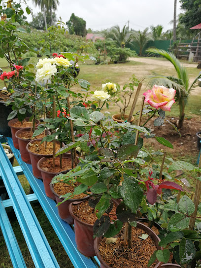 Taman Mawar Melayu