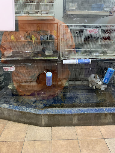 Pet Store «Fish-N-Pets Unlimited», reviews and photos, 11710 Bissonnet St, Houston, TX 77099, USA