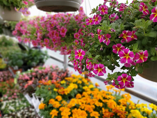 Hardware Store «Scholze Ace Home Center», reviews and photos, 133 County Rd A, Black River Falls, WI 54615, USA