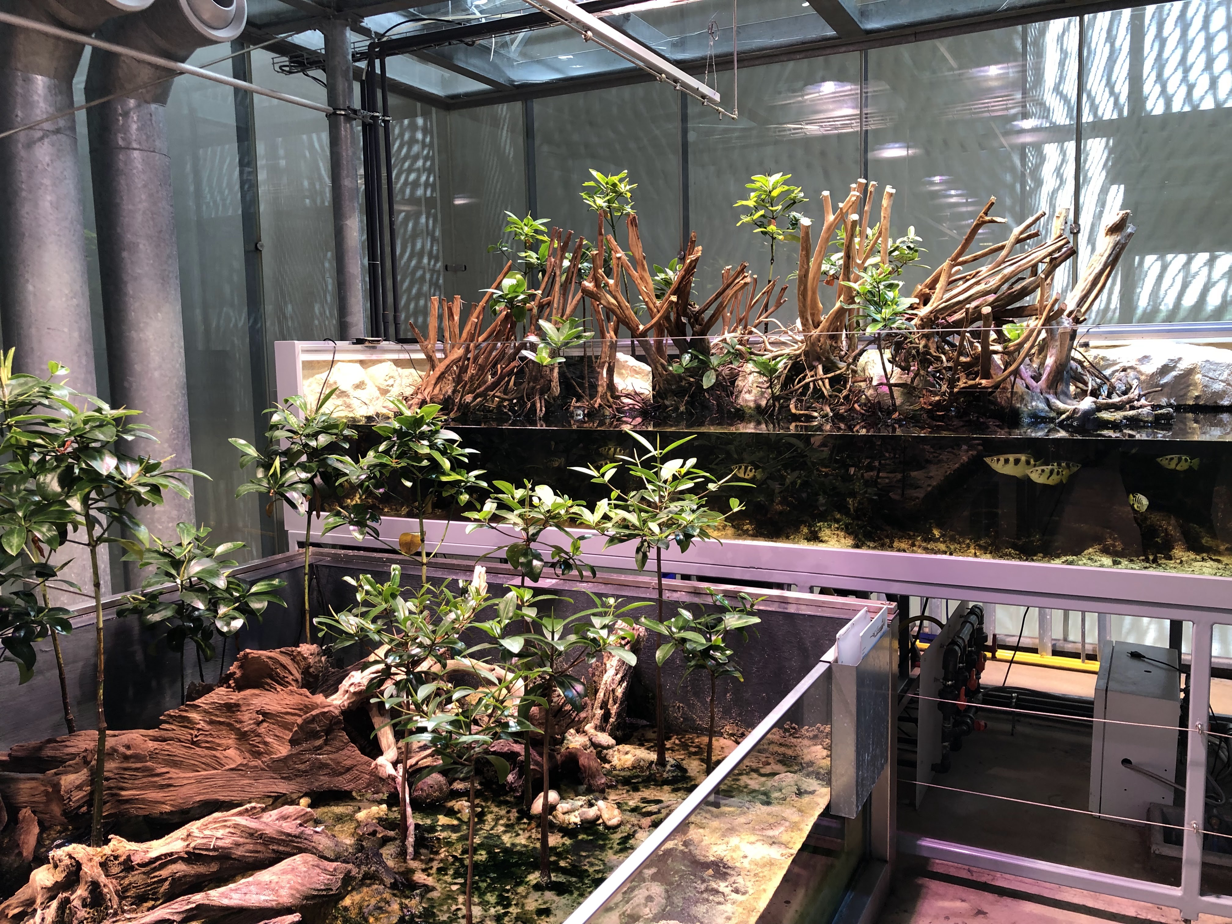 Photo n° 29 de l'avis de Nicolas.a fait le 07/06/2022 à 05:35