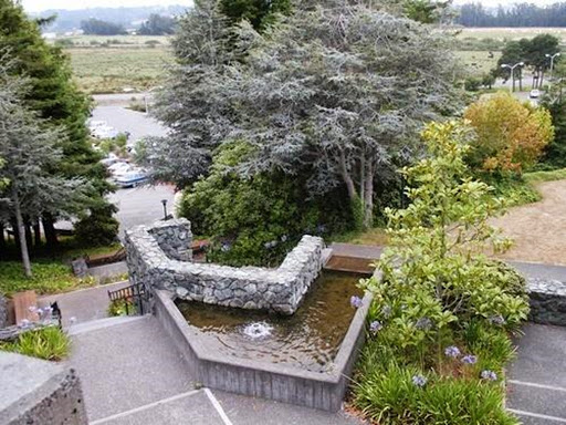 College «College of the Redwoods», reviews and photos