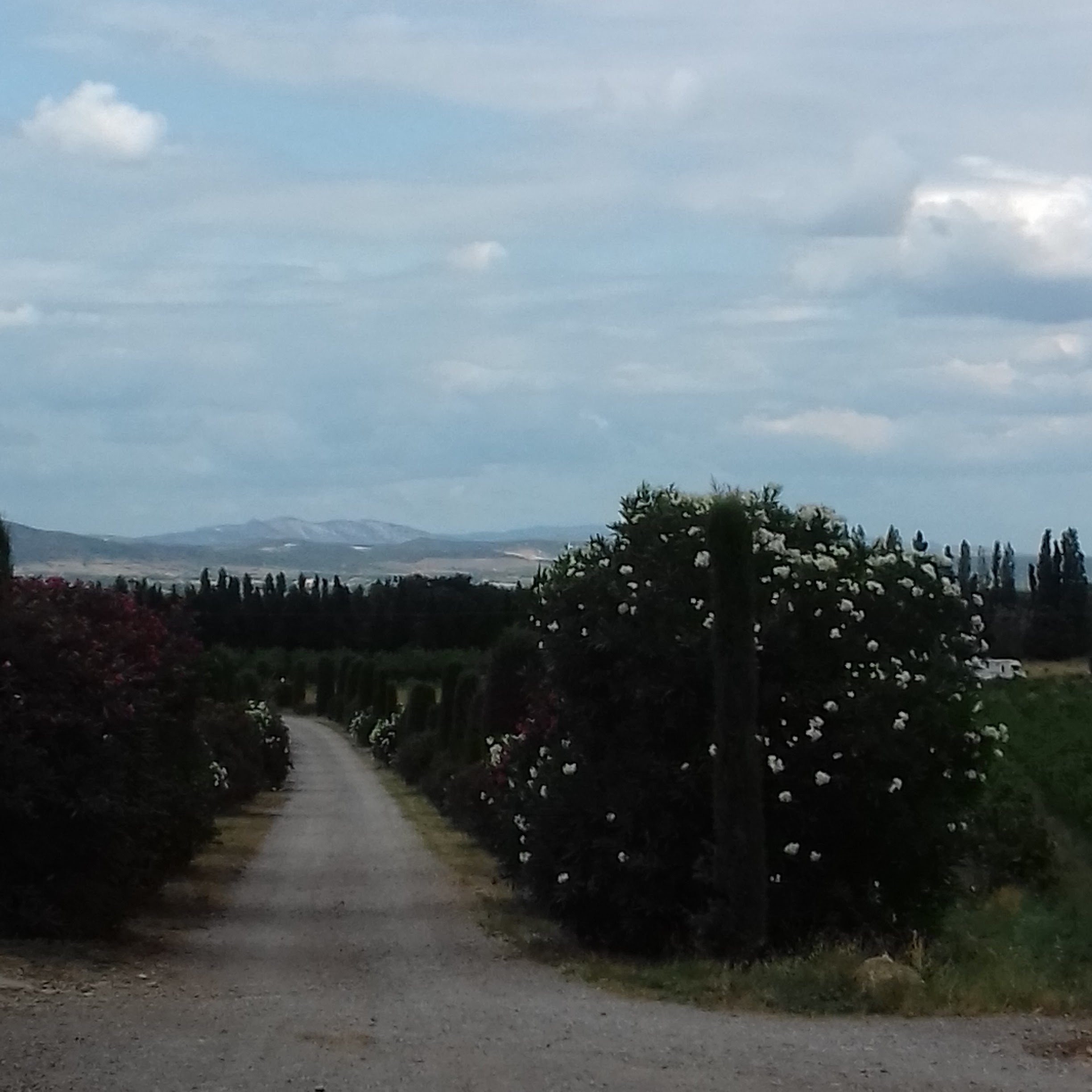 Photo n° 1 de l'avis de David.o fait le 14/08/2018 à 11:31