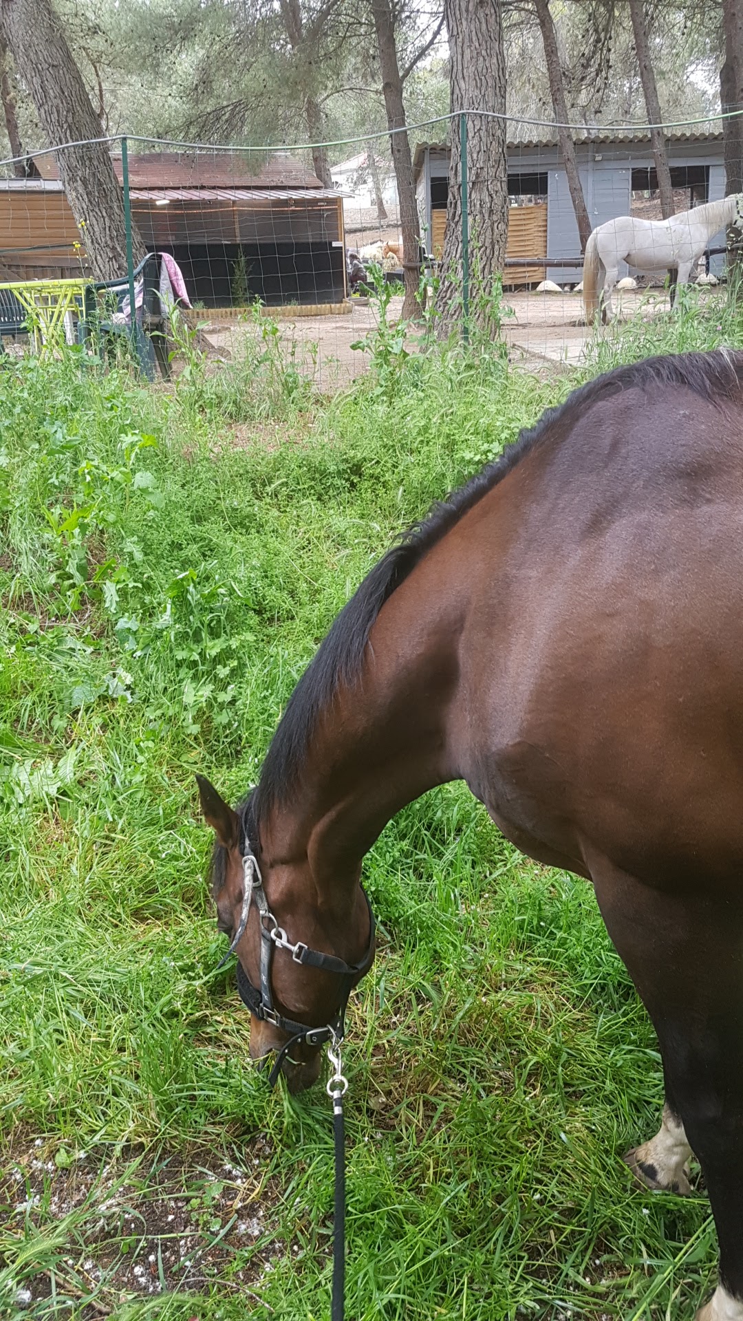 Photo n° 1 de l'avis de MJ.c fait le 10/05/2017 à 20:58