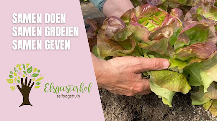 Elsgeesterhof