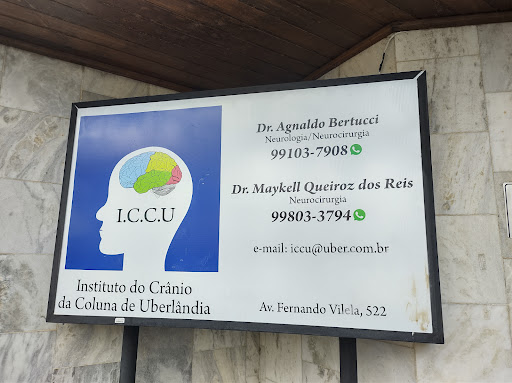 Logo da empresa - ICCU - Instituto do Crânio e Coluna Uberlândia
