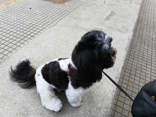 Espai Veterinari Sa Pobla en Sa Pobla