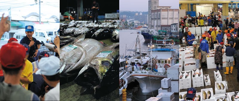九州中央魚市株式会社 鹿児島市場