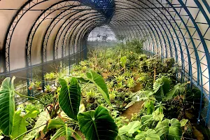 Quito Botanical Gardens image