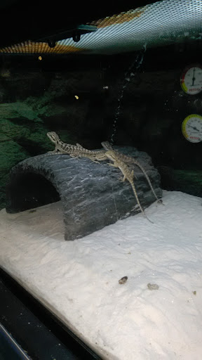 Pet Supply Store «Petco Animal Supplies», reviews and photos, 5975 20th St, Vero Beach, FL 32966, USA