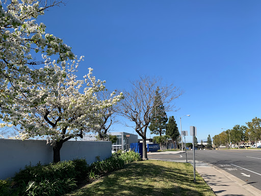 Car Dealer «Irvine Auto Center», reviews and photos, 44 Auto Center Dr #11, Irvine, CA 92618, USA