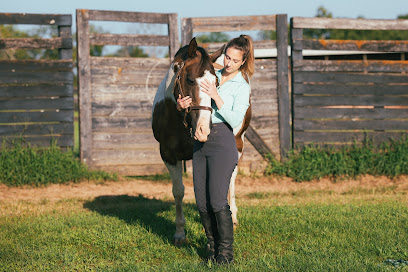 Carey Equine-Assisted Counseling