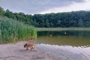Wielkopolski Park Narodowy - Obwód Ochronny Jeziory image