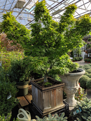 Florist «Metropolitan Plant and Flower Exchange», reviews and photos, 471 NJ-10, West Orange, NJ 07052, USA