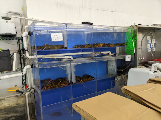 Asian Grocery Store «Oriental Supermarket», reviews and photos, 3901 S University Ave, Little Rock, AR 72204, USA