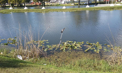Stadium «Camping World Stadium», reviews and photos, 1 Citrus Bowl Pl, Orlando, FL 32805, USA