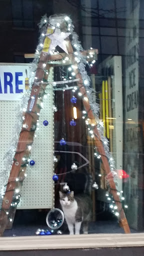 Hardware Store «Lakewood Hardware», reviews and photos, 16608 Madison Ave, Cleveland, OH 44107, USA