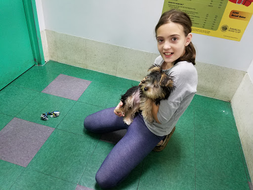 Pet Store «Petland Fairfax», reviews and photos, 9404 Main Street, Fairfax, VA 22031, USA