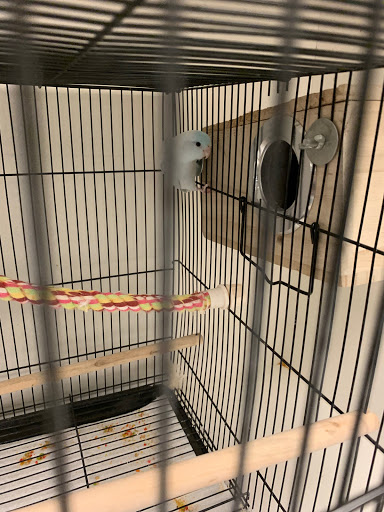 Pet Store «Exotic Pets», reviews and photos, 2410 N Decatur Blvd #160, Las Vegas, NV 89108, USA