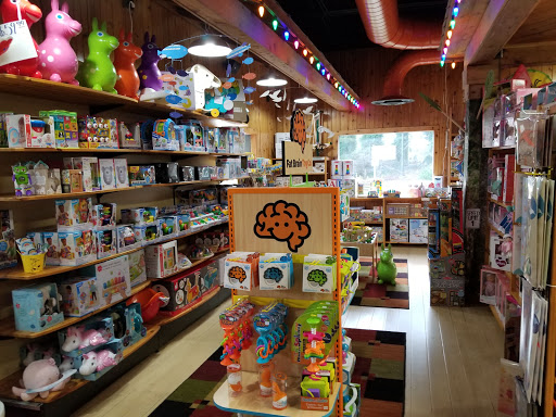 Toy Store «Dancing Bear Toys», reviews and photos, 518 Kenilworth Rd, Asheville, NC 28805, USA